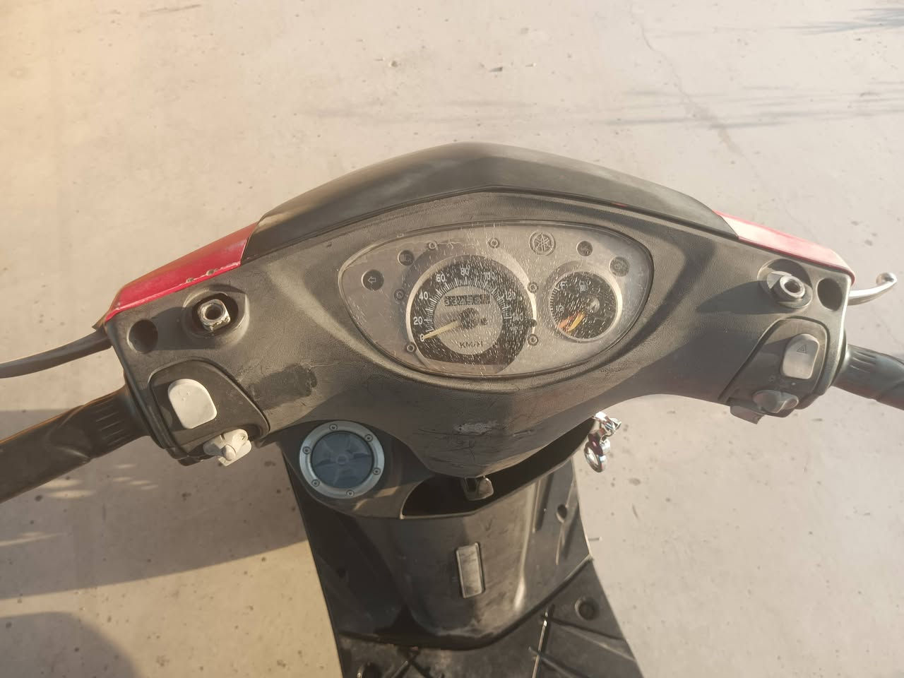 ثعلب ساله شهر من نازله من رنبه
سعر 850 بغداد ***********
