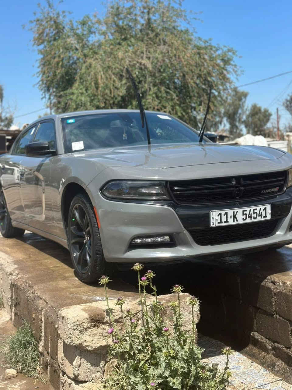 جارجر سياره جديده كير اومحرك وكسن ودوشمه  عنوان بغداد المعامل حي نصر*********** بغداد, العراق

نص مكتوب في الصور:
- ***********-***********
- تخلي مسؤوليتها التام عن الفحص وتسليم التقرير الى الزبون
- بغداد - حي الجهاد - شارع الكلية - قرب مكتب الشارق
- الكهربائيات: سليم
- ديوتونا الكتروني
- DAYTONA GHECK
- e.r.u
- ناقل الحركة: سليم
- المحرك: سليم+نتضح من الاسفل
- فحص محرك - كير - السيارات / بدي