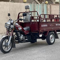 ستوته • موديل ٢٠ • كمرك