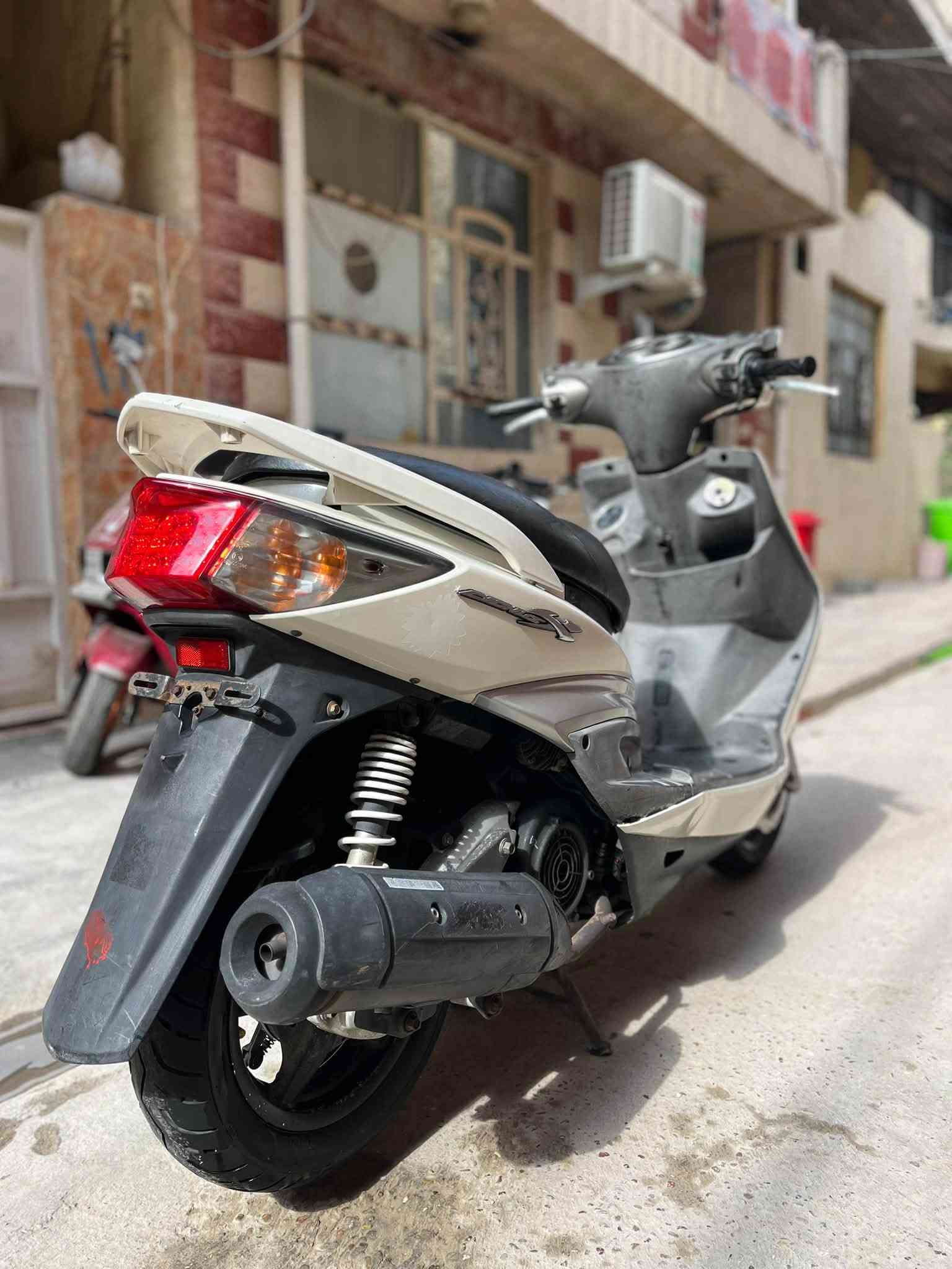 سكنس فحل • ماشيه ١٢الف • كفالة