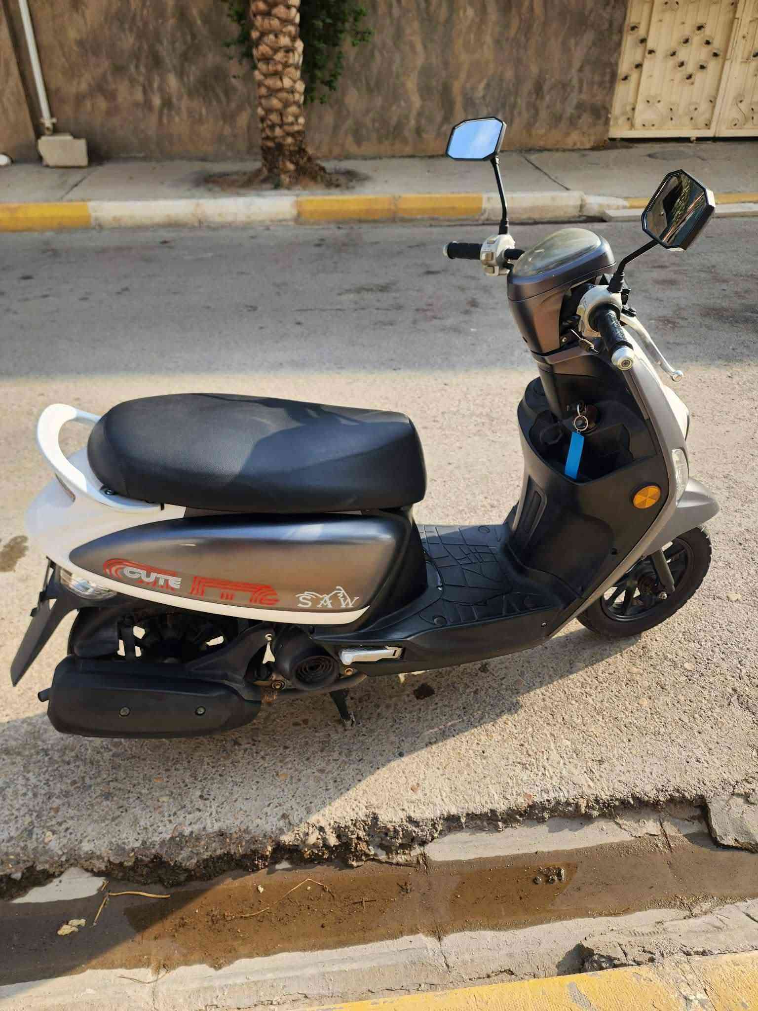 بوليسي • ٢٢ • ياباني
