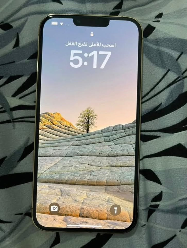 13 برو ماكس شريحتين مو شريحه وحده لون الذهبي نضافه واحد ع واحد مبدل فقط بطاريه اصليه والفيس ايدي مشكله اثر وكعه ويتصلح طبيعي مكان شاميه او ديوانيه للتواصل *********** سعر 550
