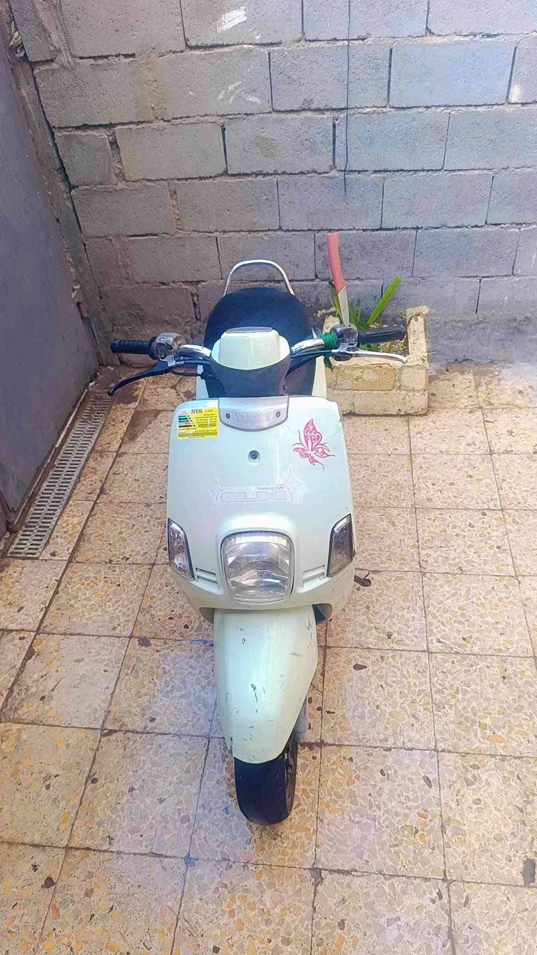بوليسي • كابريتر • كفالة عامه