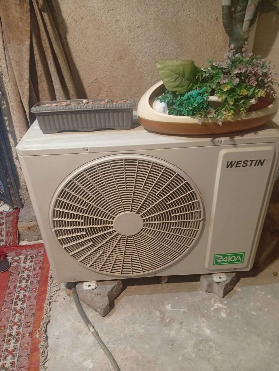 سبلت • طن ونص • بصرة دور الصحه