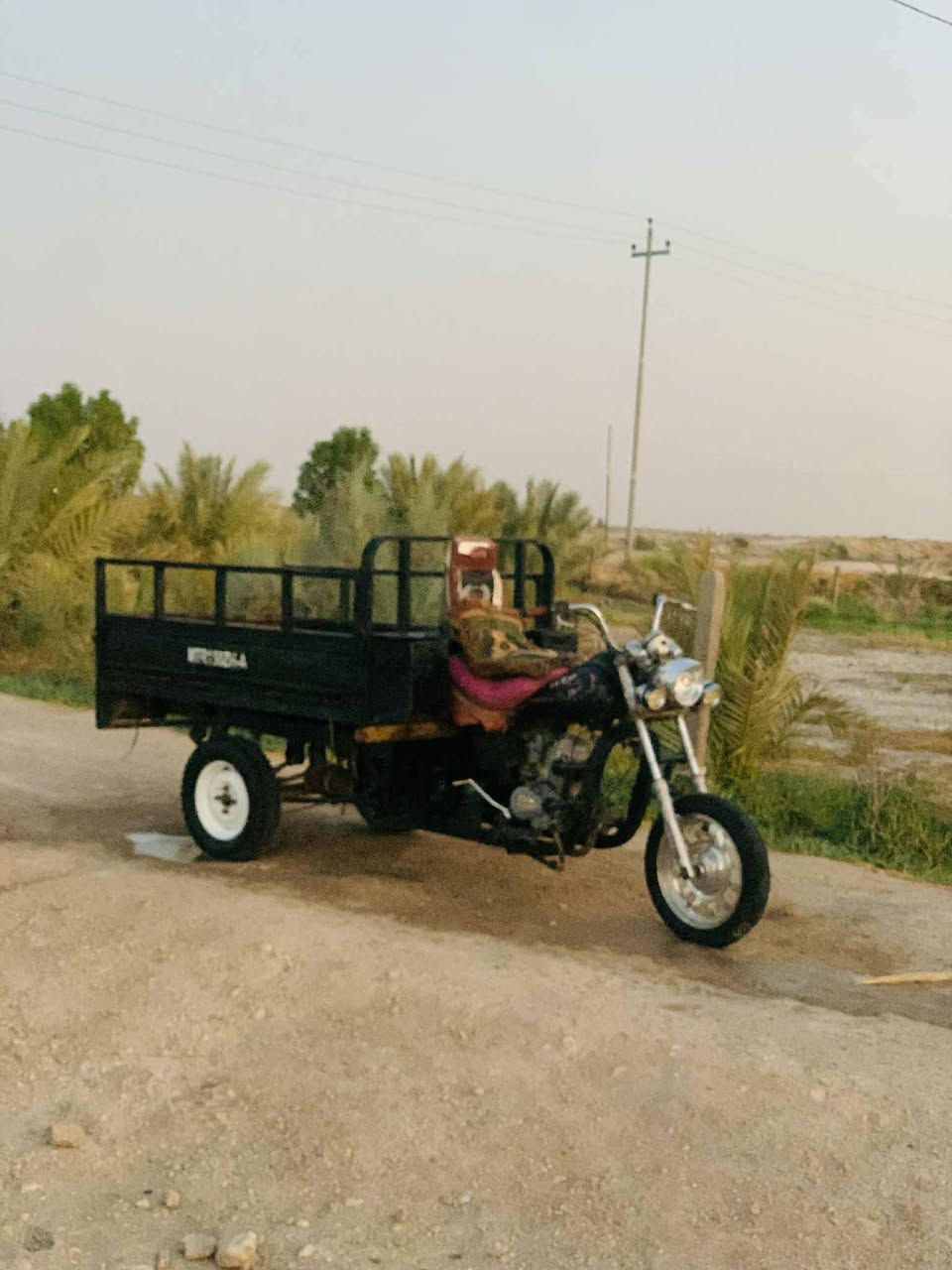 ستوته كلك • ٢٠١٦ • شاصي مگفول