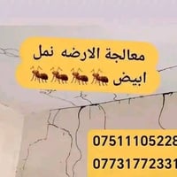 مكافحة حشرات • نمل ابيض • قوارض