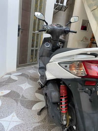 سكنس فحل • كابريتر • مامفتوح