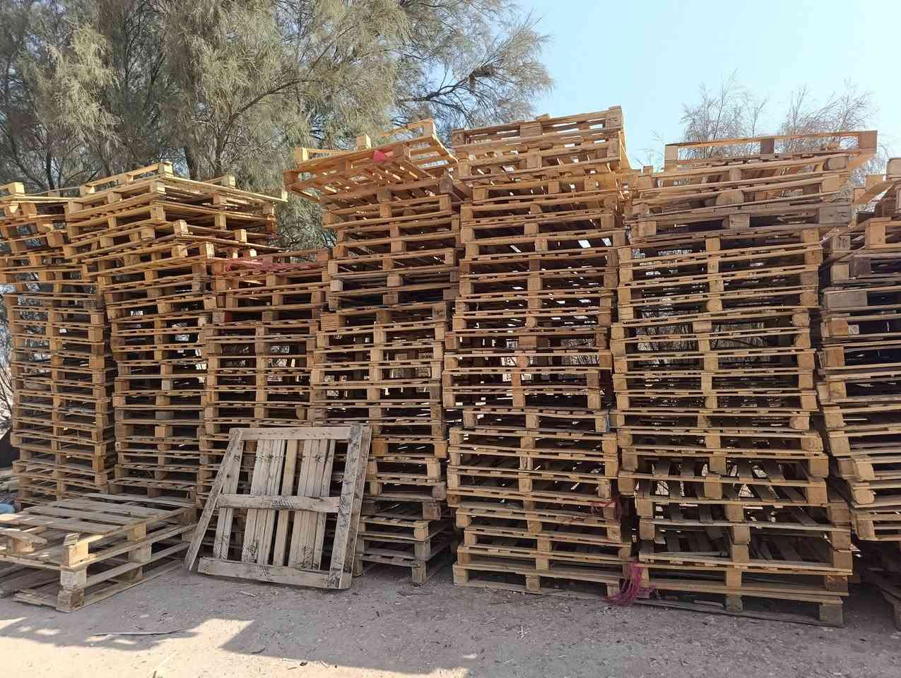 سكيب • ايراني • ٥٠٠