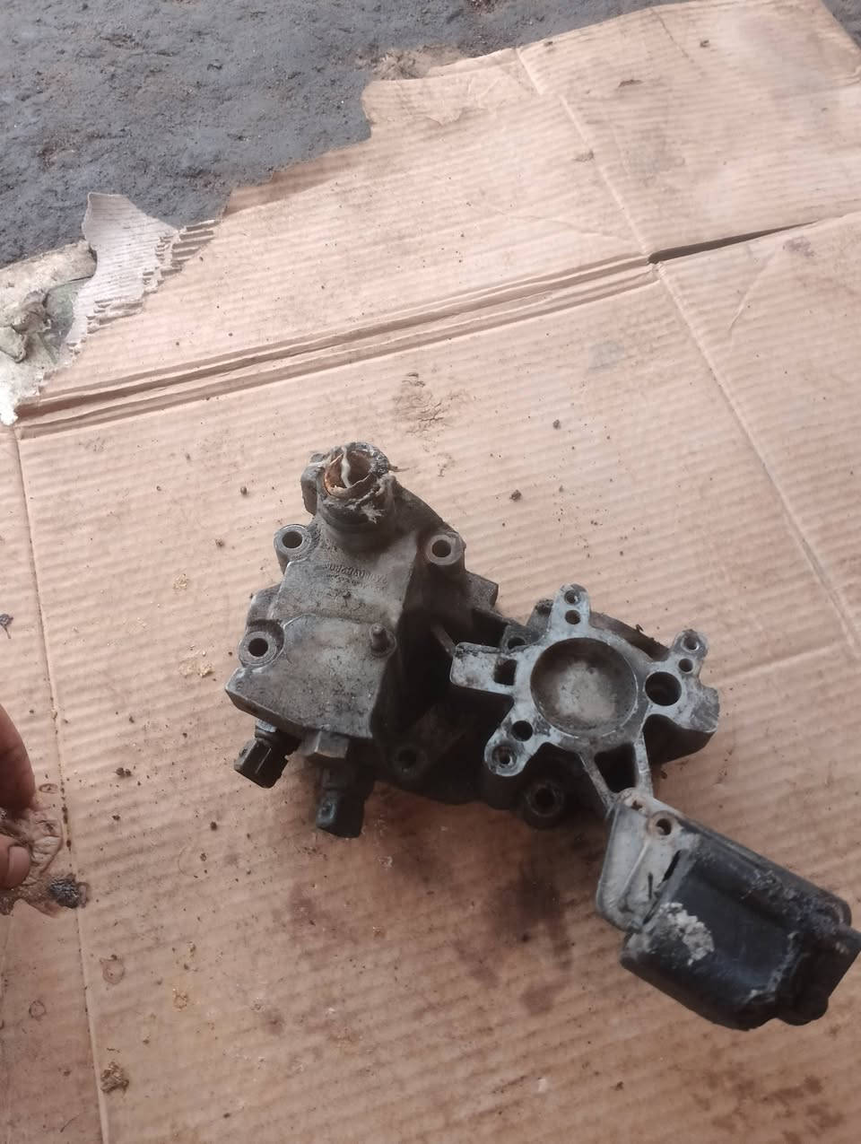 بيجو • سايبا • البصرة