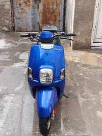 بوليس • نوزل • مكفوله