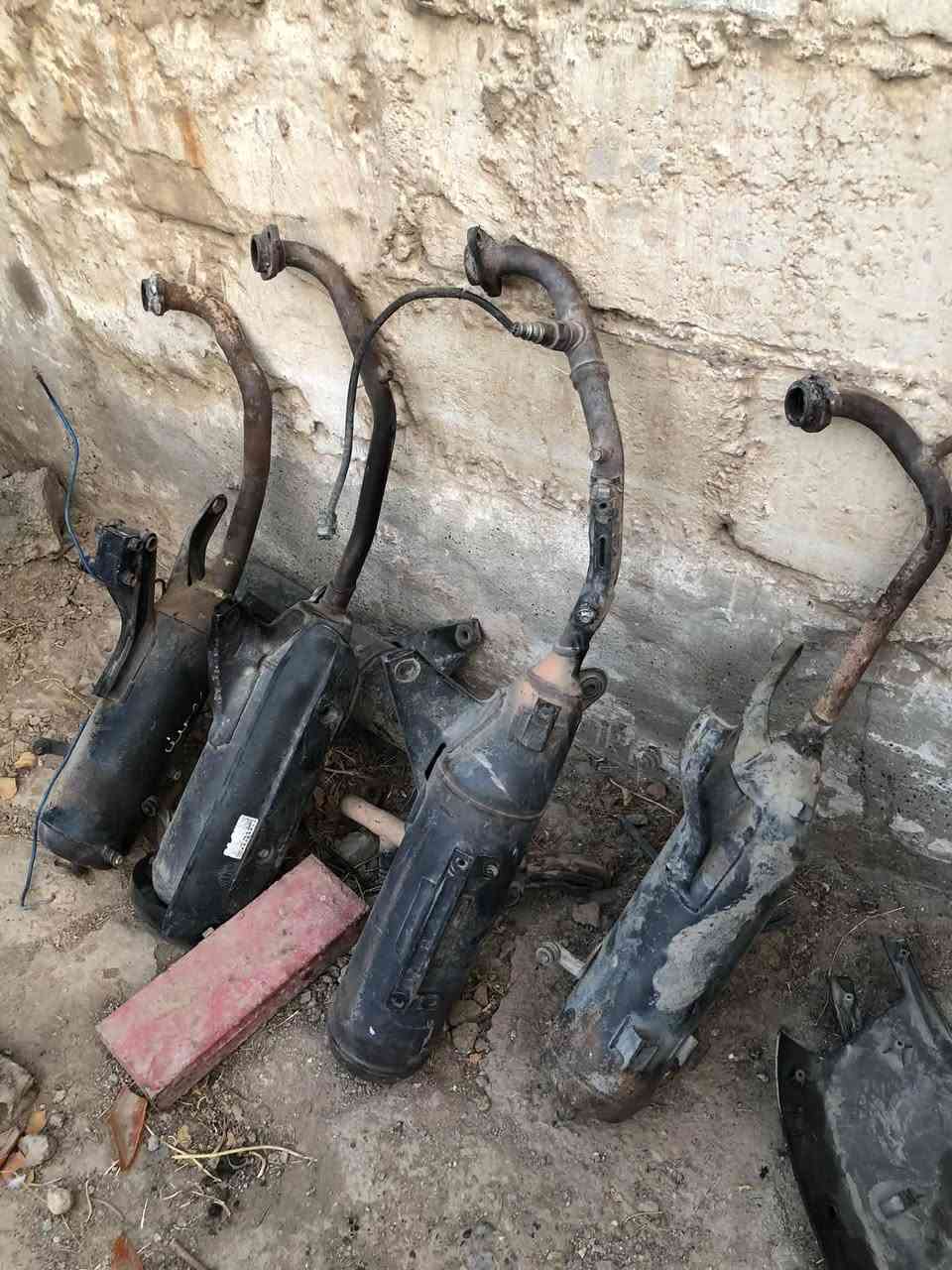 شواصي ثنين واحد مال سكنس فحل وثاني مال سكنس فحل طلاعات كاملات الاخير وغراض خير من الله شتحتاج خابرني 
ملاحظه ( غراض مال ماكس همات ) 
بغداد ألشعب ***********

