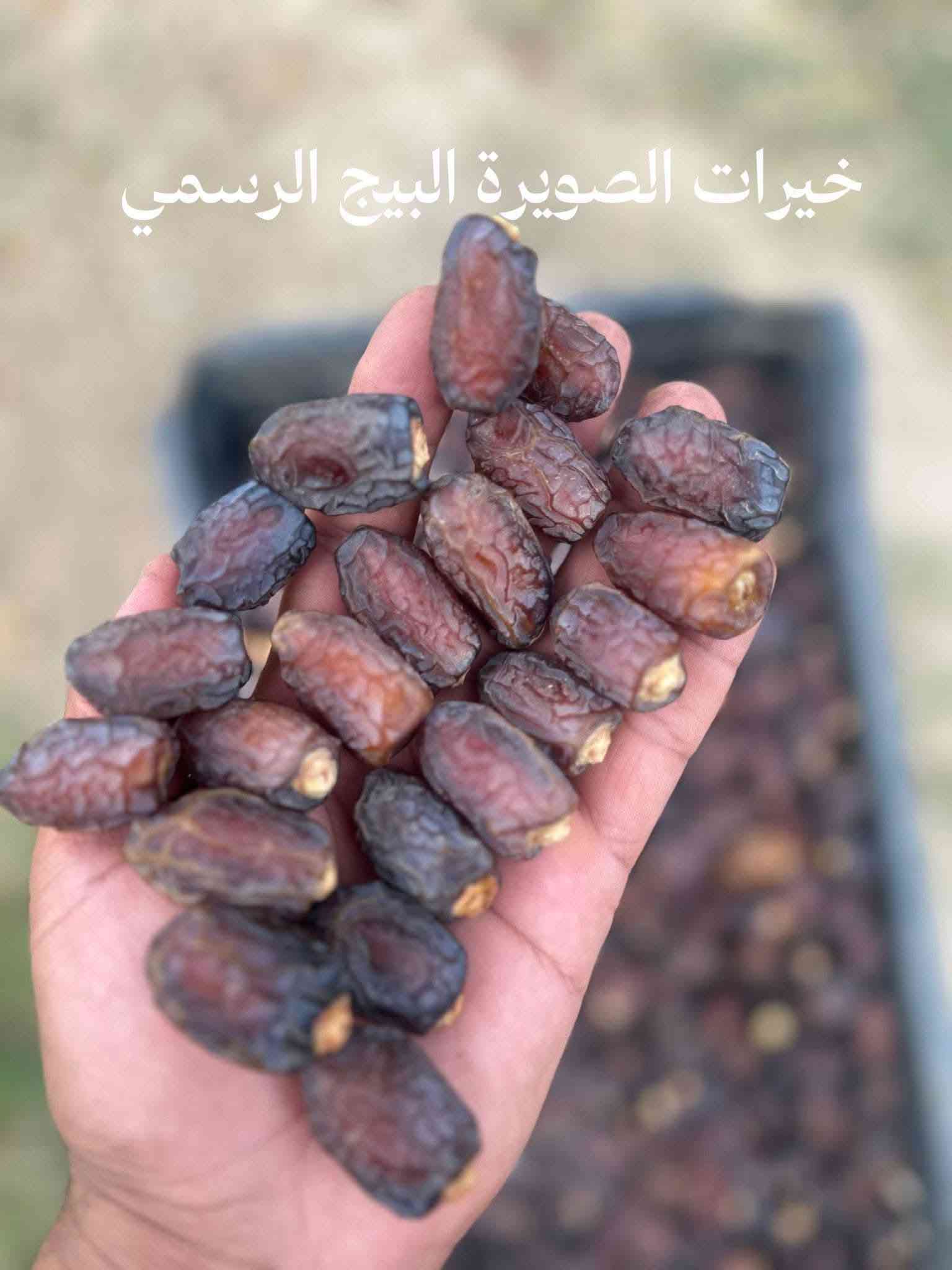 تمر بريم • درجة أولى • خيرات الصويرة