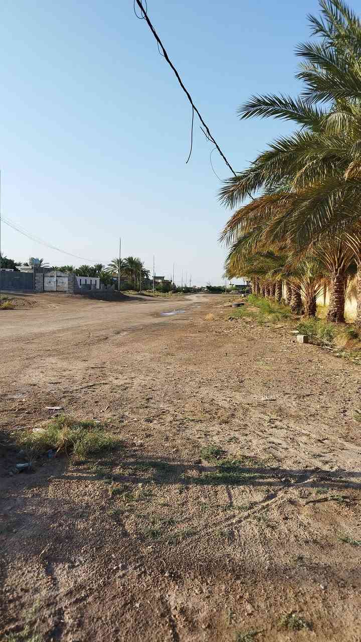 بسم لله عقار للبيع قطع او دوانم طابو زراعي الكرمة حصيوات خلف جامع الحضرة المحمدية مجاور مزرعة شيخ ستار  مكان للسكن متوفر ماء كهرباء خدمات مدارس السعر بلاااااااش ..سعر القطعة 300متر / 12 مليون .....اتصل وتدلل ***********
