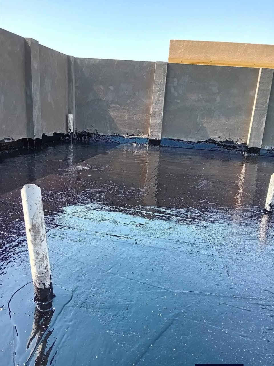تعلن سكلة  المنكوشي لبيع الجير في كربلاء في اسعار مناسبه الاستفسار الارقام الهاتفيه ***********/📞☎️
