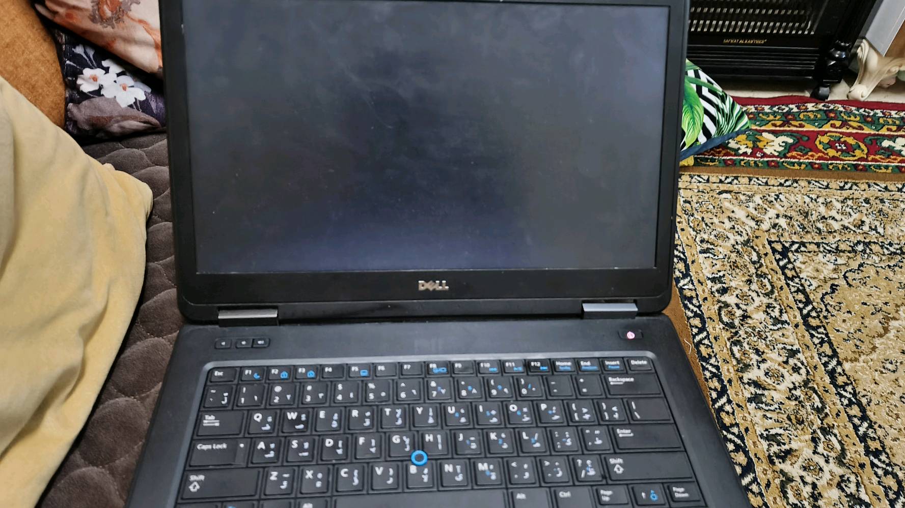 DELL • ويندوز 11 برو • استعمال قليل