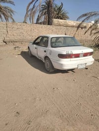 سيفية • ١٩٩٤ • مروس النتره