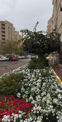 ايادي بسكولاته • ١٦٣م • ٣ غرف ماستر