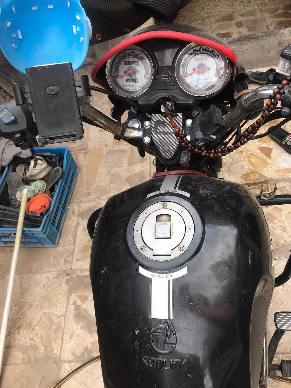 بوكسر جبلي • نفخ • بدون اوراق
