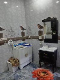 ١٥٠م • خلف مول نون • طابو ٢٥ اصولي