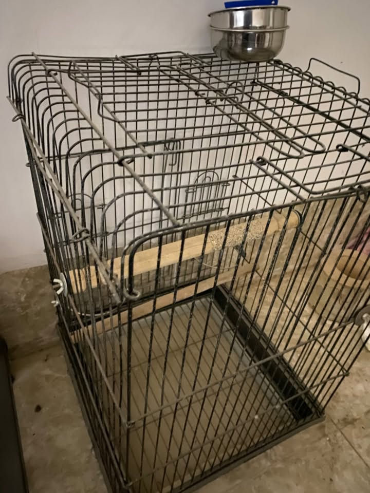قفص ببغاء 70x45
هفالان 
*********** واتس
