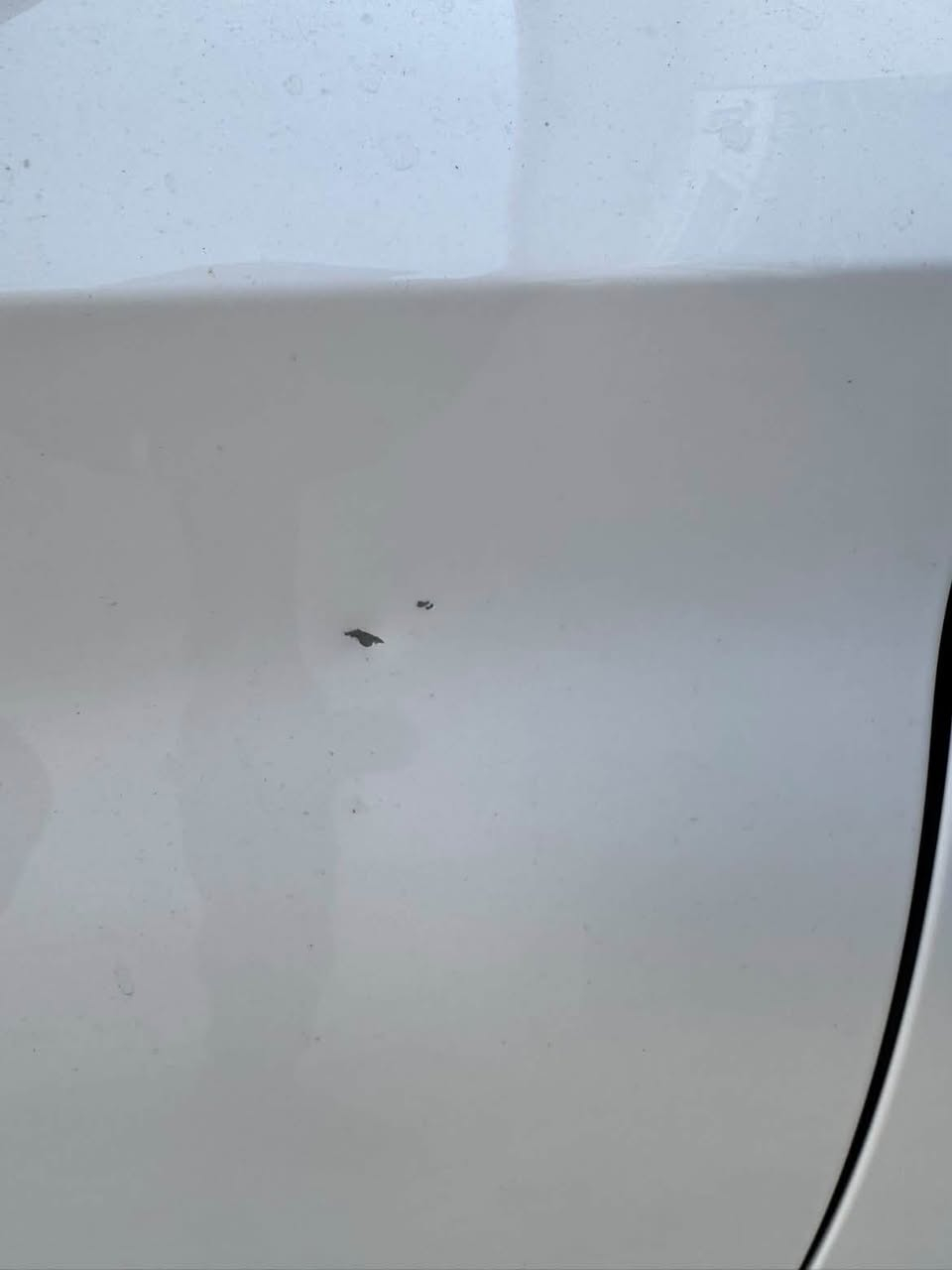 MG GT 2025
فوول مواصەفات بێ بۆیاخ و بێ سارد 
٢٠ هەزار کم ڕۆیشتووە 
هەموو گیانی بەشەرت 

نرخی ١٢٢ گەڵا و مەجالێکی کەم 

***********
