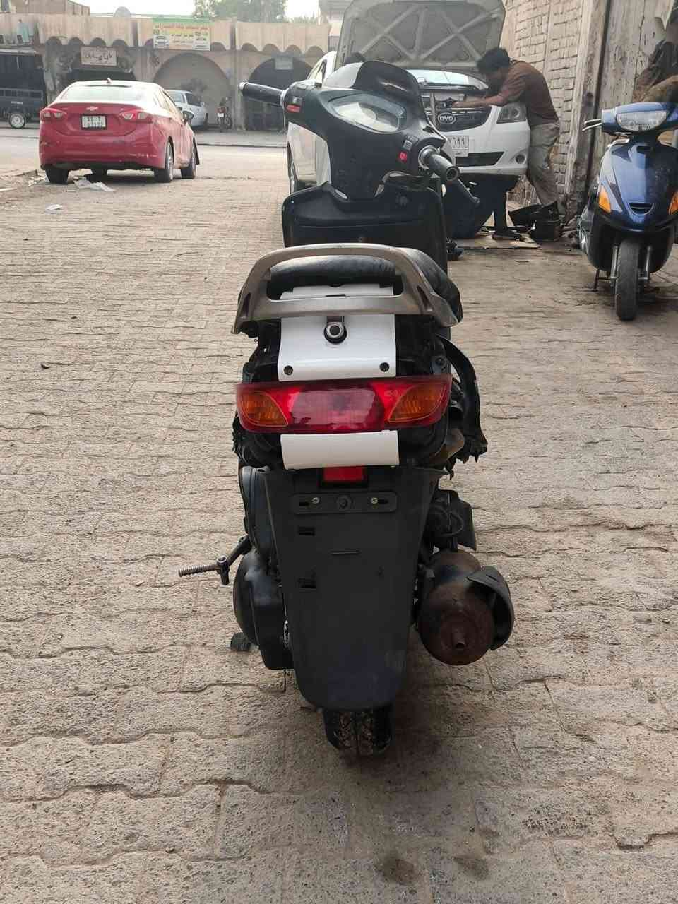 فراشه فحل • نضيفه • توه مجفته
