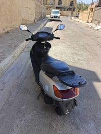 سبيسي • ياباني • بلادية