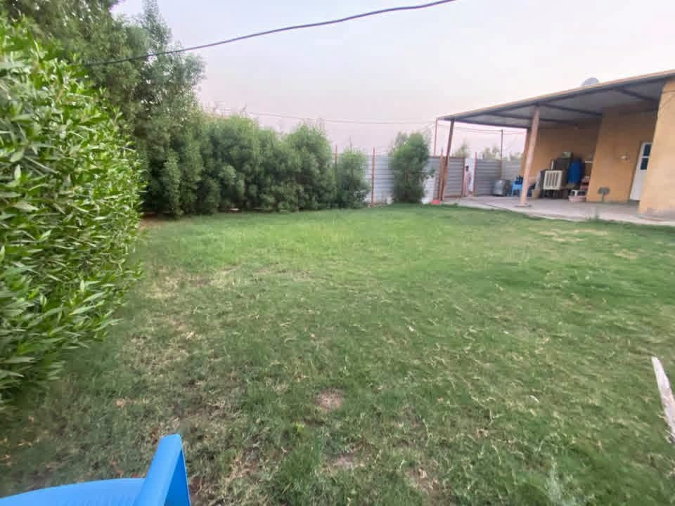 دونم • طابو زراعي • صخريجة
