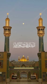 النجف الأشرف • الاثنين ٢ظهراً • بابل الحمزة الغربي