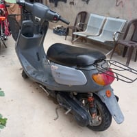 منغولي • نضيفه • شاصي مكفول