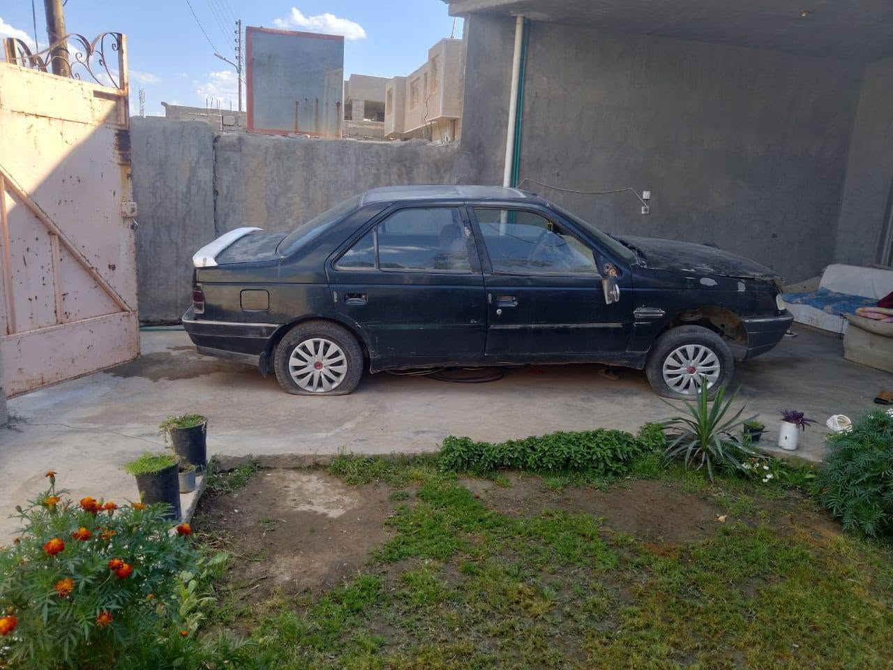 بيجو فرنسي • نقص تورباين • الضلوعية