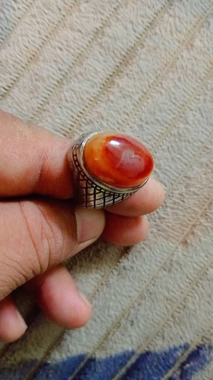 سلام عليكم سن الذئب ٣ محابس سليماني لبيع السعر ١٠٠ الي يردهن يتصل خاص ماجاوب ***********

