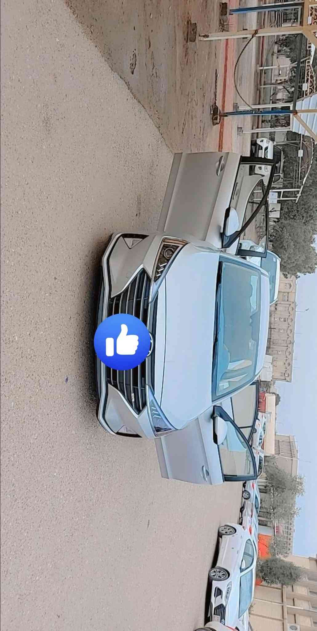 النترا ٢٠١٩ • ضربة خلفية • وارد امريكي