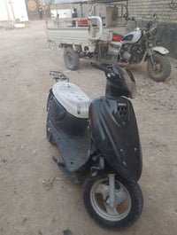 منغولي • ٦٠ • فحل