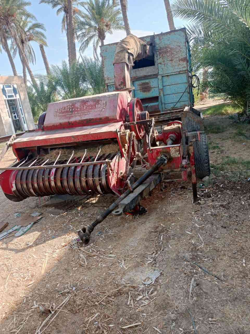 عنتر • زيتور