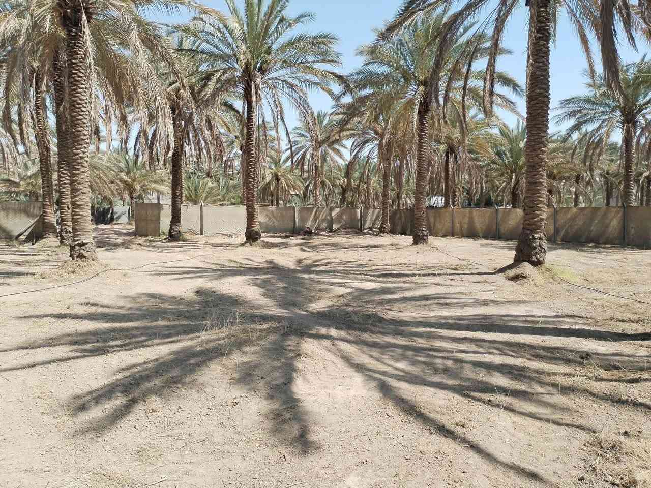 الف متر للبيع كربلاءالحر السواده على نزلة البوري الأسود ١٤٥ مليون الواجهه ٣٤ متر والنزال ٣٠ متر متوفر كهربائي وماء
*********** للاستفسار
