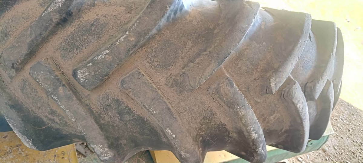 تواير حجم 18عل 38مال فلفو للبيع نص عمر سعرهن 500عنوان موصل *********** اتصل وادلل
