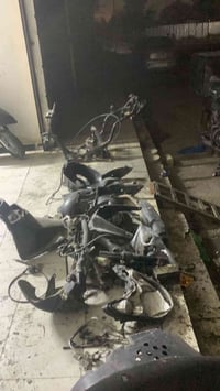 تفصيح سكنز فحل ياباني بل دوره شارع ستين شتريد موجود 07749932806