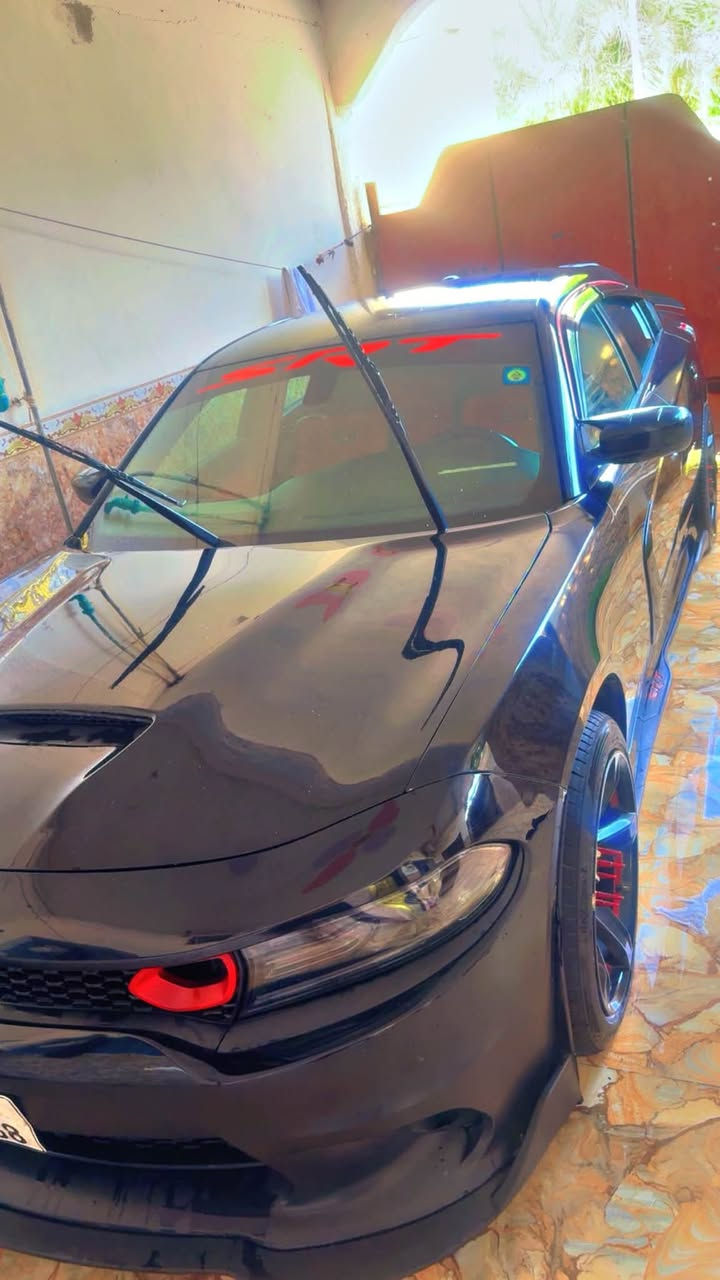 جانجر • ٢٠١٩ • رقم بغداد
