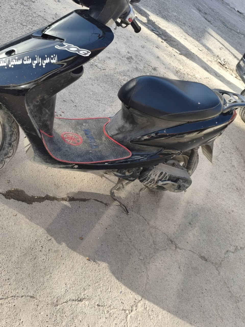 عصفوري • مامفتوح • سعر مناسب