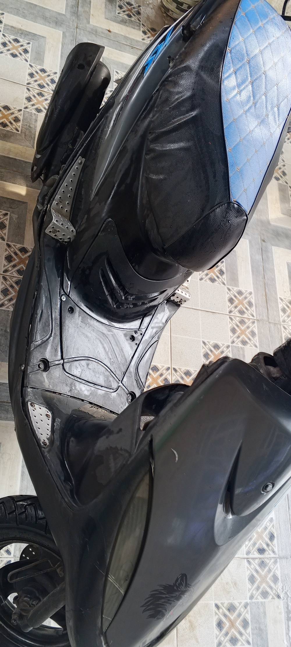 ماكس • نضيفه • بوش ابلادي