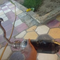 رياضي • خاص • مقفول