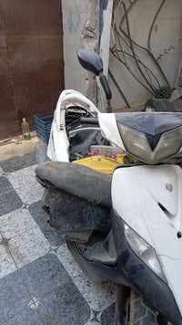 ثعلب • بغدادي • غزاليه