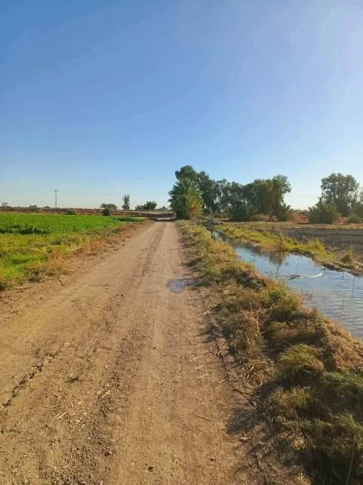 💎فرصه ذهبيه تكدر تمتلك دونم واحد تكدر تسويها مزرعه عائلتك 🌲🌿🌌 
🔹مساحه دونم 1البيع 
🔹 ماء 💧 
🔹 كهرباء ⚡ 
🔹 سند 25طابو فلوجة فتح بيان ثاني يوم 📝 
🔹 صاير مقابيل منطقة سبع البور 
🔹 تبعد عن بغداد 20دقيقه 🕝 
🔹 مركز صحي 
🔹 المدرسة الثانوية 
🔹 واجهه الدونم 55ونزال 45 📏
🔹 تبعد عن التبليط كيلو 
🔹ما تلكى بهيج السعر منطقه الشيخ عامر 💎 
🔹  ويا صاحب الكاع مباشر 
🔹 تكدر تستثمر فلوسك ويانا بدل ما تاخذ لك 100 متر 40 🔹مليون 💸 تعال خذ لك 2500 متر مربع بسعر مغري29مليون وبيه مجال 💸 قابل للتفاوض 
قريبه على سوك الشيخ عامر 💎 
🟥 ملاحظه يتوفر عندنا اراضي زراعيه للبيع سعر  6مليون فرصه تستثمر فلوسك ويانا بلا الاراضي الزراعيه قابله الصعود 💎 الاستفسار اتصل *********** 📱واتساب 
🔹ابو وضاح
