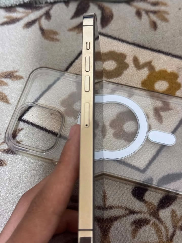 سلام عليكم ايفون ١٣برو ماكس ذهبي لون مميز فقط ضهره مكسور
ذاكرته:٢٥٦
بطاريته:٨٧
شرق اوسطza/a
جهاز نضيف مثل ما موضح بالصوره
للبيع ليريده بخدمته مكاني نجف حي النصر 
رقمي*********** فقط واتساب
سعره ٦٧٠وبي مجال حك الجيه
