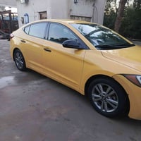 الانتره • وردي • امريكي