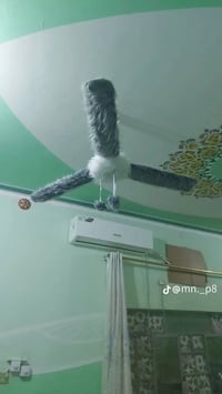 تغليفة مراوح • فرو • جملة ومفرد