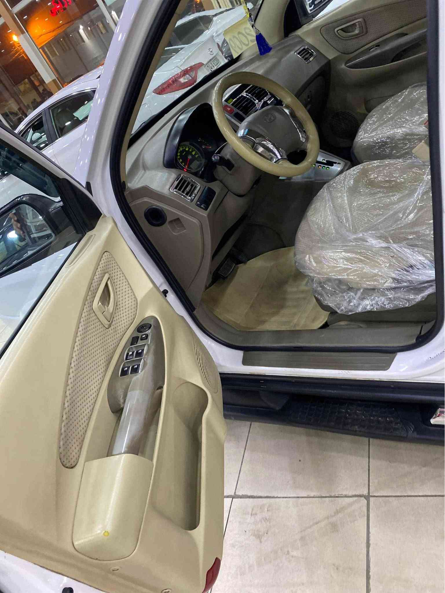 توسان • ٢٠٠٩ • بدون صبغ