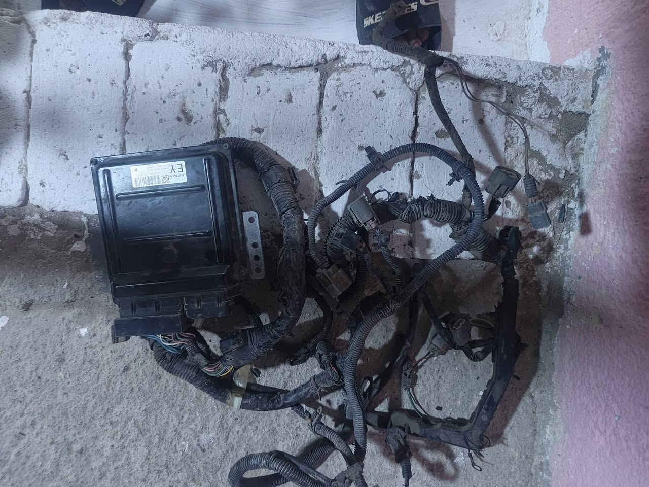ضفيرة جديدة • عقل جديدة • نيفادا كير عادي