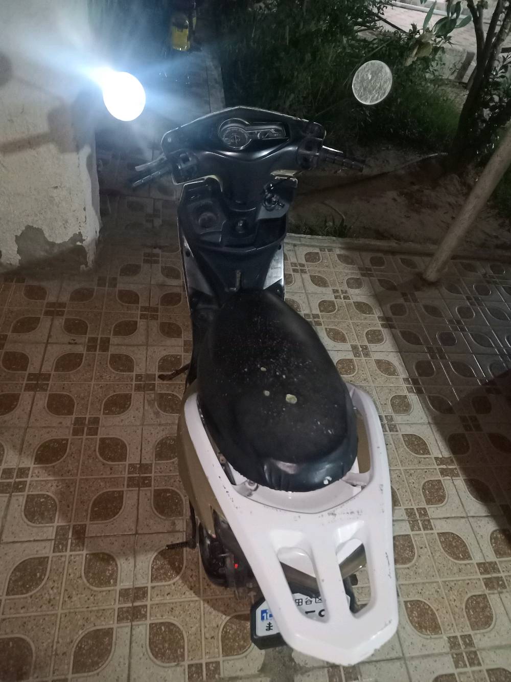 سكنس • ماكس عدله • ٢٠٠٦